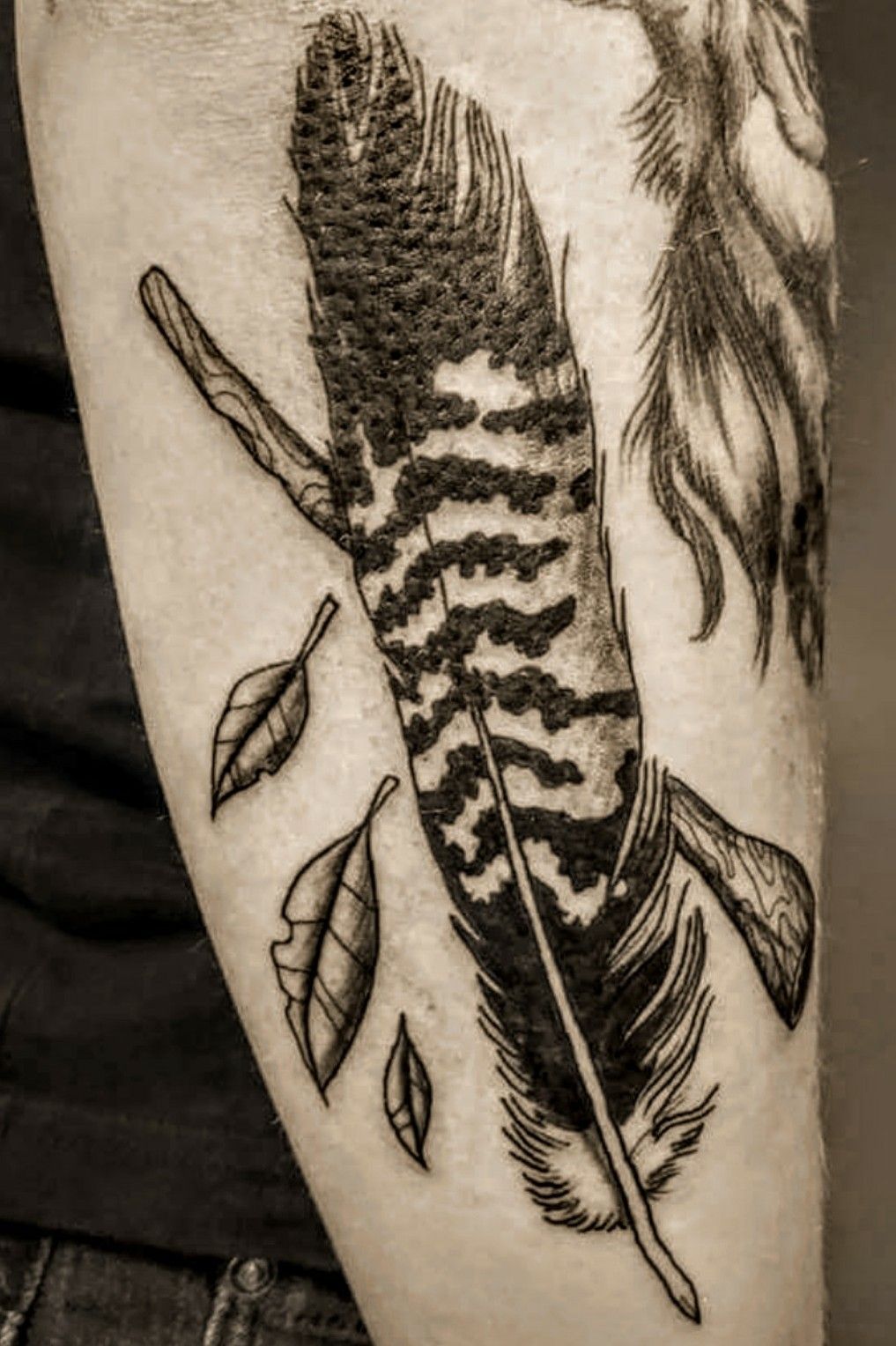 Graphic Big Feather tattoo on Arm  Best Tattoo Ideas Gallery