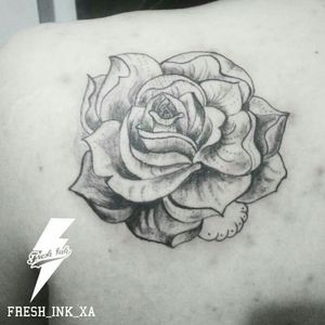 Rose Style XA.Appointment Contact. Xtopheralvardo@gmail.comWhatsApp- 939 • 238 • 0503Black & Gray Tattoos. #xatattoo #fresh_ink_xa___________________________#freshink #tattoo #blackngray #tattoodo #instattattoo #inked #tattoos #tattoopr #tattooartist #tattoo_of_instagram #guyswithtattoos #blacktattoos  #sleevetattoo #tattoolife #inkig #lifestyletattoo #tattoomens  #tattooskin #professionaltattooartist #tattooed #xtopheralvaradotattoo #worldfamousink #team_freshink #tattooink #tattooart #inkaddicted #inkeezegreenglide #freshink_team