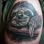 Baby sloth tattoo