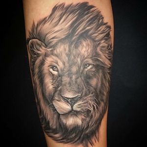 Lion tattoo 