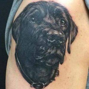 Dog portrait tattoo 