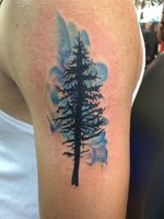 Pine tree color 