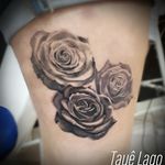 Realistic roses by me #tattoodesign #tattoo #tatuagem #amputeetattooer #tatuadoresbrasileiros #tatuador amputado 