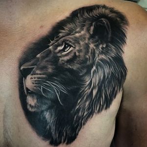 white lion animal tattoo