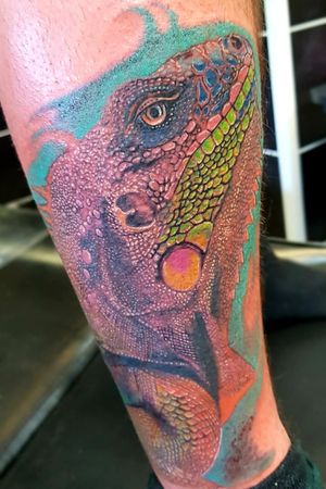 Colourful iguana tattoo My work 