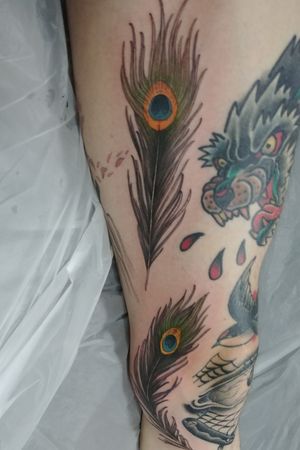 Two new peacock feathers on my knee and inner thigh 🐣🐣🐣my last two tattoos in Korea 🇰🇷😢 From swan_tattooer (Instagram) #feather #feathertattoos #brird #birdtattoo #peacock #peacockfeather #neotraditionaltattoos #neotraditionaltattoo #linework #color 