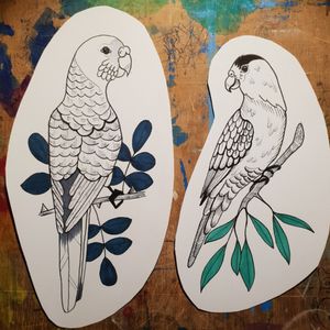 Exotic Birds#art #artist #handmade #illustration #draw #drawing #ink #blackworktattoo #blackwork #blackngrey #tttism #instagood #dailyart #tattoo #tattooing #flashtattoo #flash #flashworkers #available #tattoosnob #artwork #create #creative