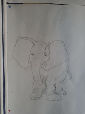 #elephants #drawn 