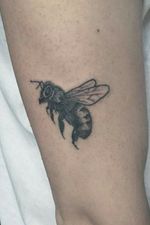 Tiny bee @hellhound_tattoostudio @worldfamousink @neotatmachines @electricink @tattooaddictsouthafrica #tattoopia #tattoos #girlswithtattoos #tattooed #tattooartist #tattooart #tattooedgirls #biceptattoo #instatattoo #tattoolife #tattoodesign #floraltattoo #tattooflowers #tattoogirl #tattooedgirl #peonytattoo tattoo #indievideo #tattooinspiration #legpiece #tattoomodel #tattoosofinstagram #blacktattoo #linetattoo #timelapse #timelapsetattoo #traditional #darkink #blacktattoo #abstract #dotwork