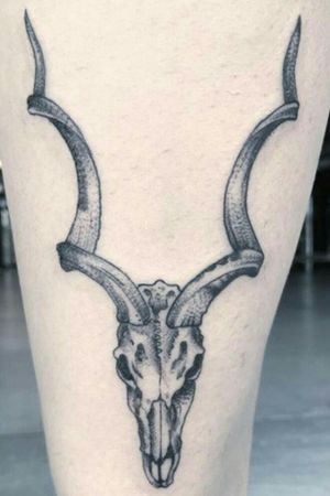 Creeping in with a kudu skull , some small work @hellhound_tattoostudio @worldfamousink @neotatmachines @electricink @tattooaddictsouthafrica #tattoopia #tattoos #girlswithtattoos #tattooed #tattooartist #tattooart #tattooedgirls #biceptattoo #instatattoo #tattoolife #tattoodesign #floraltattoo #tattooflowers #tattoogirl #tattooedgirl #peonytattoo tattoo #indievideo #tattooinspiration #legpiece #tattoomodel #tattoosofinstagram #blacktattoo #linetattoo #timelapse #timelapsetattoo #traditional #darkink #blacktattoo #abstract #dotwork