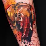 #ivanabelakova #elephant #animal #abstract #watercolor #geometric