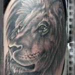 #lion #lionhead #animal #blackandgrey