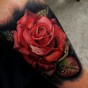 #realistic #rose #fullcolor #MattJordan