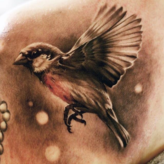 Tattoo Ideas Sparrows and Swallows  TatRing