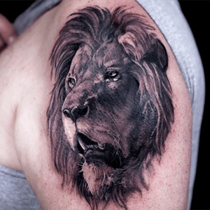 Lion done by @coppola_art