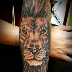 Lion tattoo by tatupaul.com #tatupaul #lion