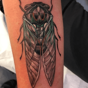 Amazing cicada by the equally amazing rbrtbnhm #naturetattoo #cicadatattoo #brooklyntattoo #brooklyntattooshop
