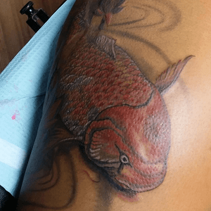 Koi fish #japanese #koifish #red #koi #japanesekoifish 