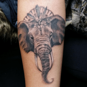 Awesome elephant blackwork #elephant #blackwork 