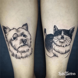 Entre em contato conosco. Artista: Wally Fonseca #ledstattoo #tatuagem #tatuaje #tattoobrasil #brasil #saopaulo #dog #cat