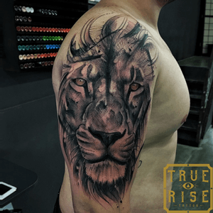 Lion tattoo, arte na pele por Feliphe Veiga
#phetattooist #truerisetattoo #lion #sketch #blackwork 