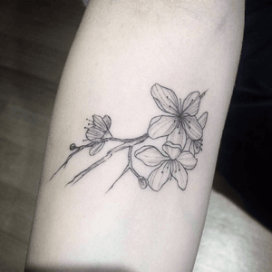 Tattoo feita por nossa tatuadora Thauni Gogliano (thugogliano) que atende em nossa unidade da Augusta! 💟 #tattooart #sampatattoo #galeriatattoo #flowers #girlswithtattoos #fineline #augusta #ink