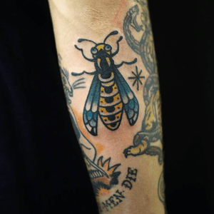 Tattoo de Lele (lelectrictattooing )!! #tattoobarcelona #traditionaltattoos #tradibarcelona #animaltattoo #insecttattoos #tatuajetradicional #tatuajebarcelona #tattoogracia #armtattoo #tatuajeoldschool #thebesttattooartist