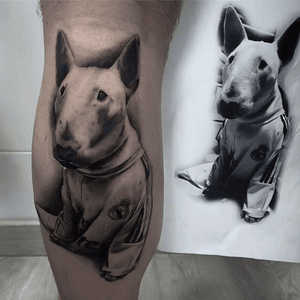 Bull terrier realizado por franbl_tattoos #bulldog #blackandgrey #proartstattooshop 