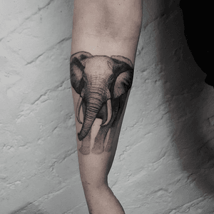 Beautiful elephant tattoo by arthurperfetto #elephant #blackwork #delicate #detail 