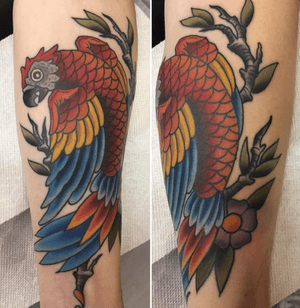 Fun parrot finished today.