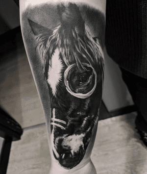 #portrait #horse #horsetattoo #ink #black #dark