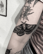 Butterfly moth by rrrrrremy 🦋 #art #design #instaart #instagood #handtattoo #photooftheday #tatted #instatattoo #bodyart #amazingink #tattedup #inkedup #atelierfour #truro #cornwall #uktta #mothtattoo #butterflymoth #artist #illustration