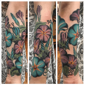 Morning glories!
#flowers #color #Tattoooftheday 