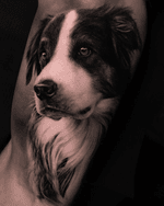 Little dog portrait by Thomas Carli Jarlier #thomascarlijarlier #dog #dogportrait #realism 