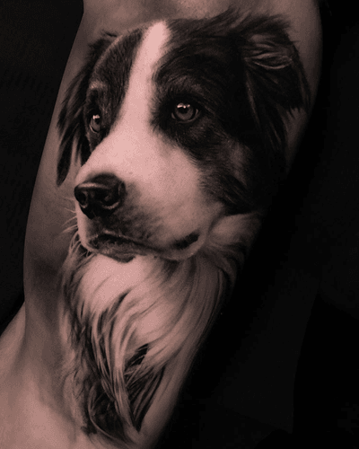 Little dog portrait by Thomas Carli Jarlier #thomascarlijarlier #dog #dogportrait #realism 