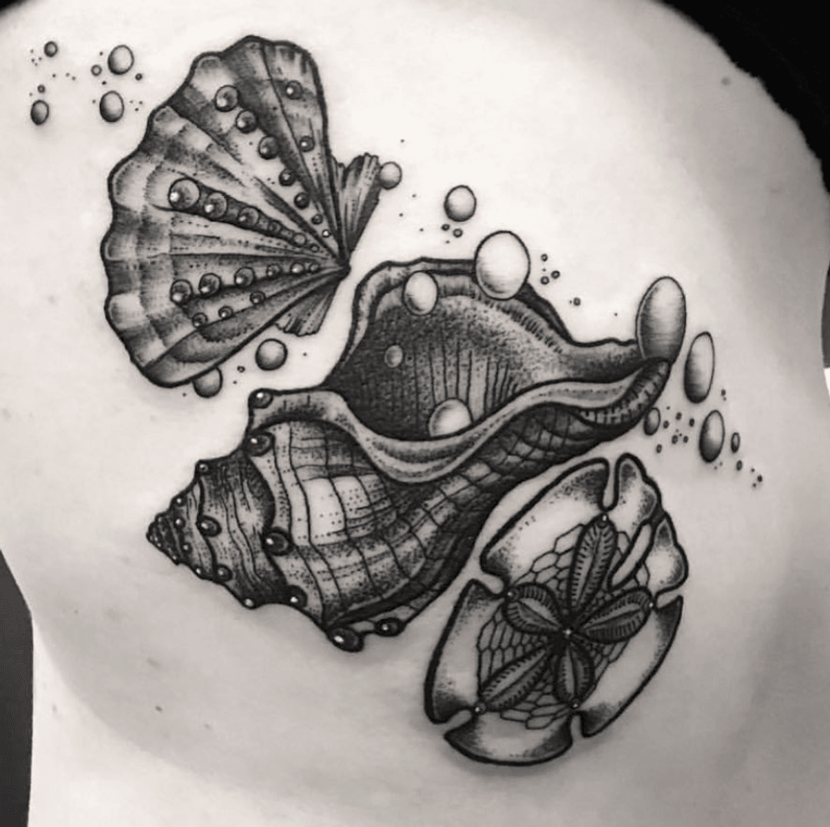 Tattoo uploaded by Tattoodo • Seashells by a resident artist @kreska ...