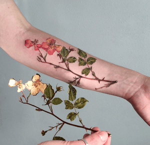 By Rita, tattoo artist from Kyiv, Ukrain. #liveleaftattoo #botanical #botanicaltattoo #floraltattoo #flowertattoo #rosehip #rosehiptattoo #ritkit #ritkittattoo