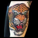 Super fun tiger for Declan done @kingsavetattoo last week. #kingsavetattoo #tiger #traditional #americantraditional