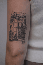 The window from the picture 