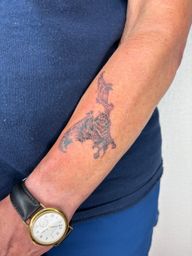 Bat Tattoo
