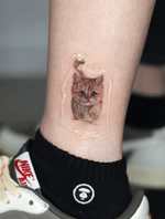 Tiny Kitten Portrait