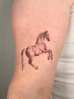 Rearing Horse Dotwork Tattoo