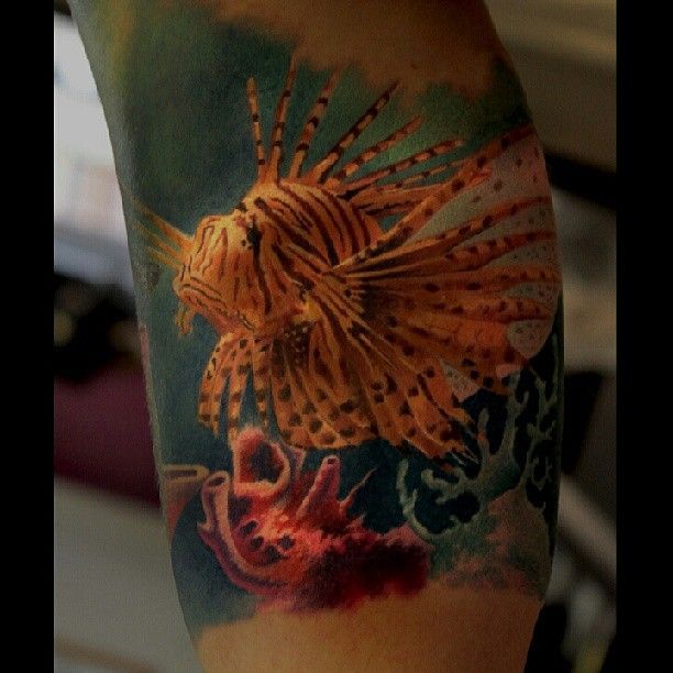Inksomnia Tattoo  Tattoo done by inksomniamike  tattoos shoulderpiece  fish fishtattoo sea seatattoos ocean oceantattoos marine  marinetattoos inksomnia  Facebook