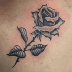 Get a unique and timeless illustrative traditional tattoo of a beautiful rose.
