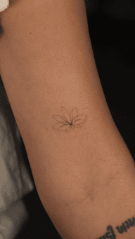 Fineline ornamental lotus flower 🙌
