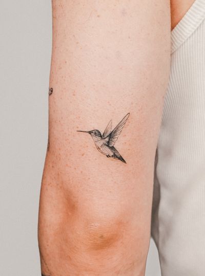 Beautiful black and gray micro-realism tattoo of a hummingbird, expertly done by Gabriele Edu.