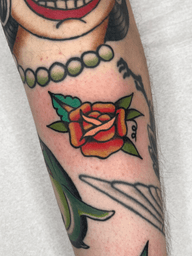 Classic Rose Bloom