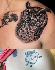 Owl Portrait