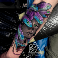 Medusa with Colorful Snakes