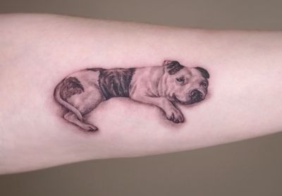 A dog lying on its arm, resting. The dog always slept on the left side of its owner, so the customer got a tattoo on their left arm as well :) Dog tattoo, pet tattoo, pet portrait, cat tattoo, micro realism, realism, surrealism, bulldog tattoo, Staffy tattoo, Staffy